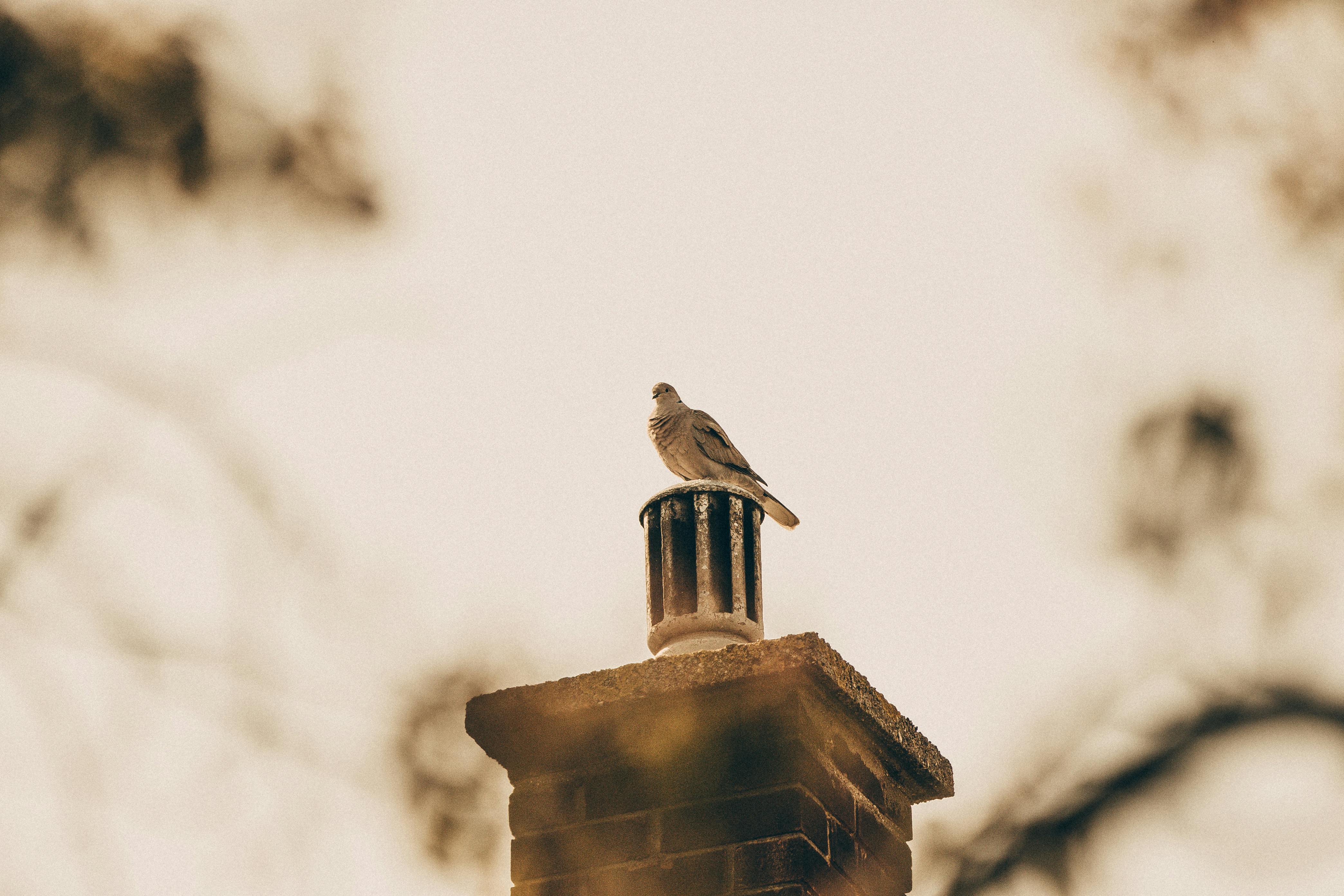 Expert Chimney Cap Installation in Hinsdale, Illinois